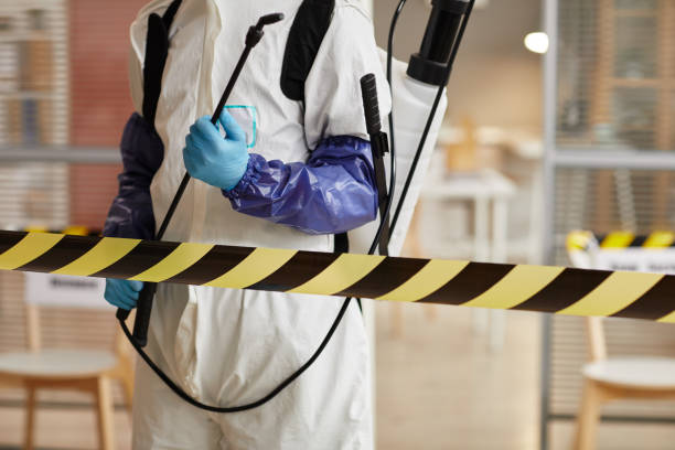 Professional Sewage Cleanup technician working in Etowah, NC